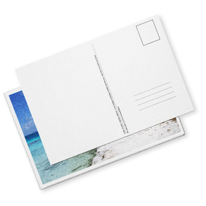 Carte postale - KOTO PANTHER PRINT