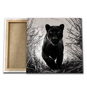 Toile sur chassis - KOTO PANTHER PRINT