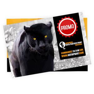 Carte de visite PROMO - KOTO PANTHER PRINT